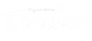 image-logo
